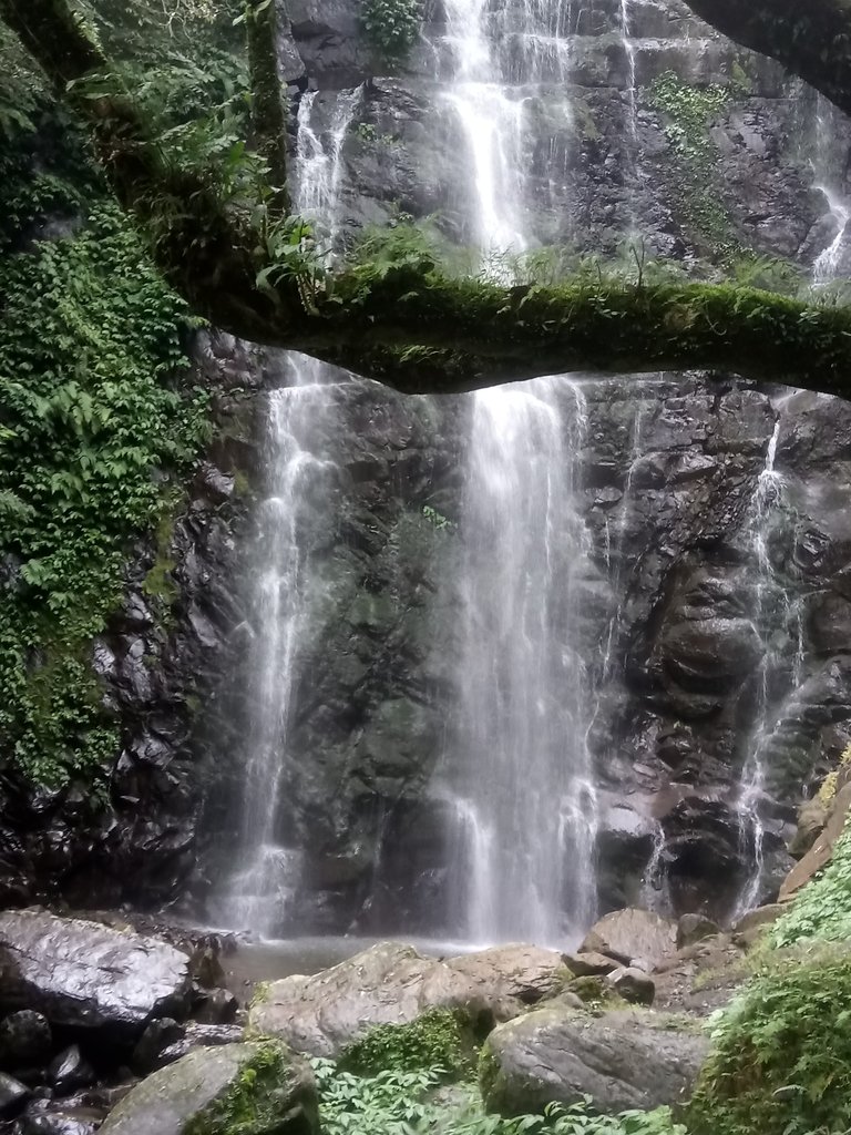 DSC_6130.JPG - 三峽  滿月圓森林遊樂區