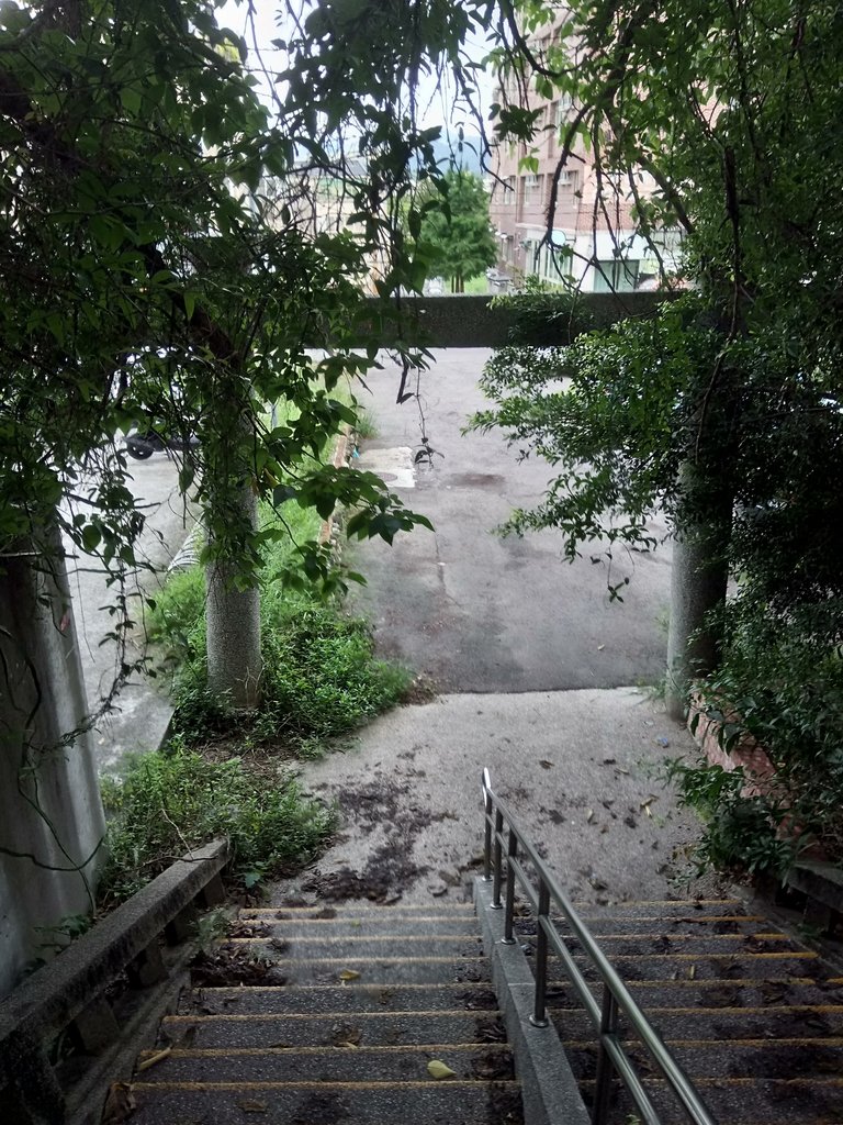 DSC_9009.JPG - 苗栗  稻荷神社遺址