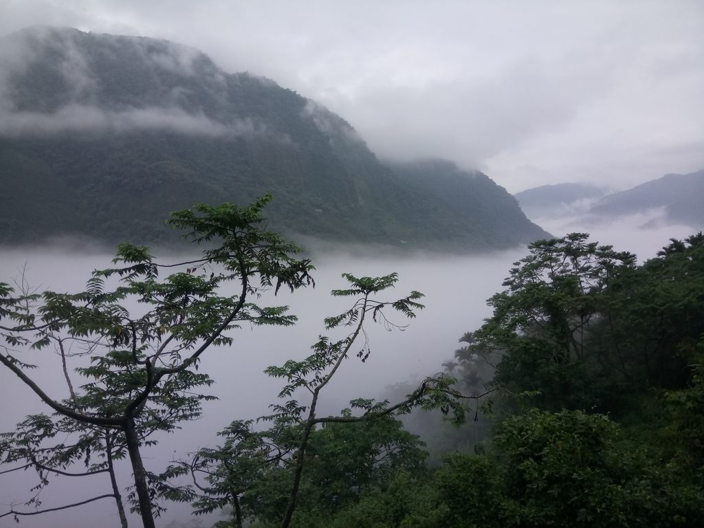 DSC_1149.JPG - 古坑  草嶺  雲山繚繞