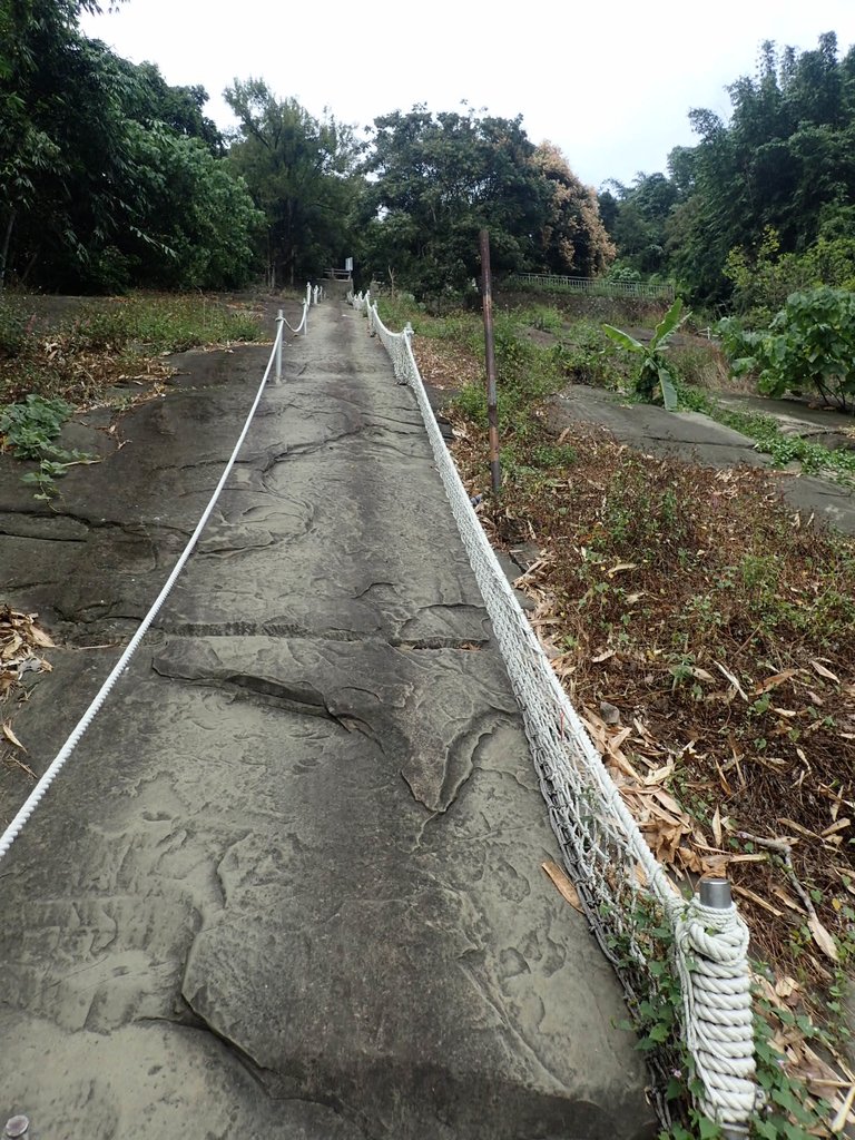 PA231648.JPG - 草嶺  茄苳步道  峭壁雄風
