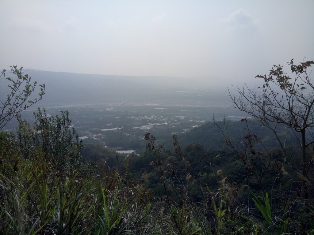 DSC_7345.JPG - 草屯平林  九九峰森林步道