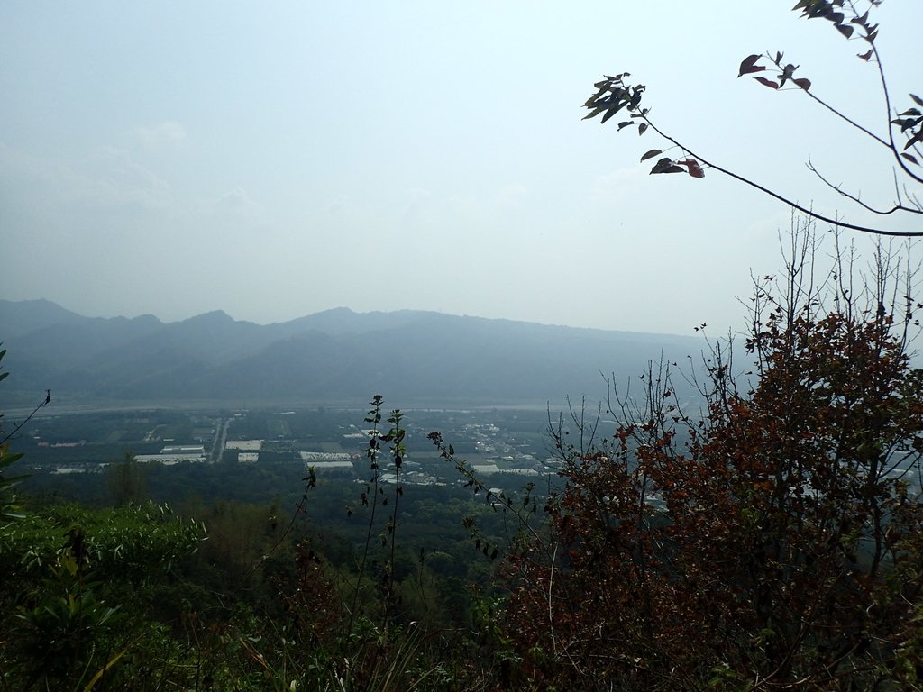 P3016067.JPG - 草屯平林  九九峰森林步道