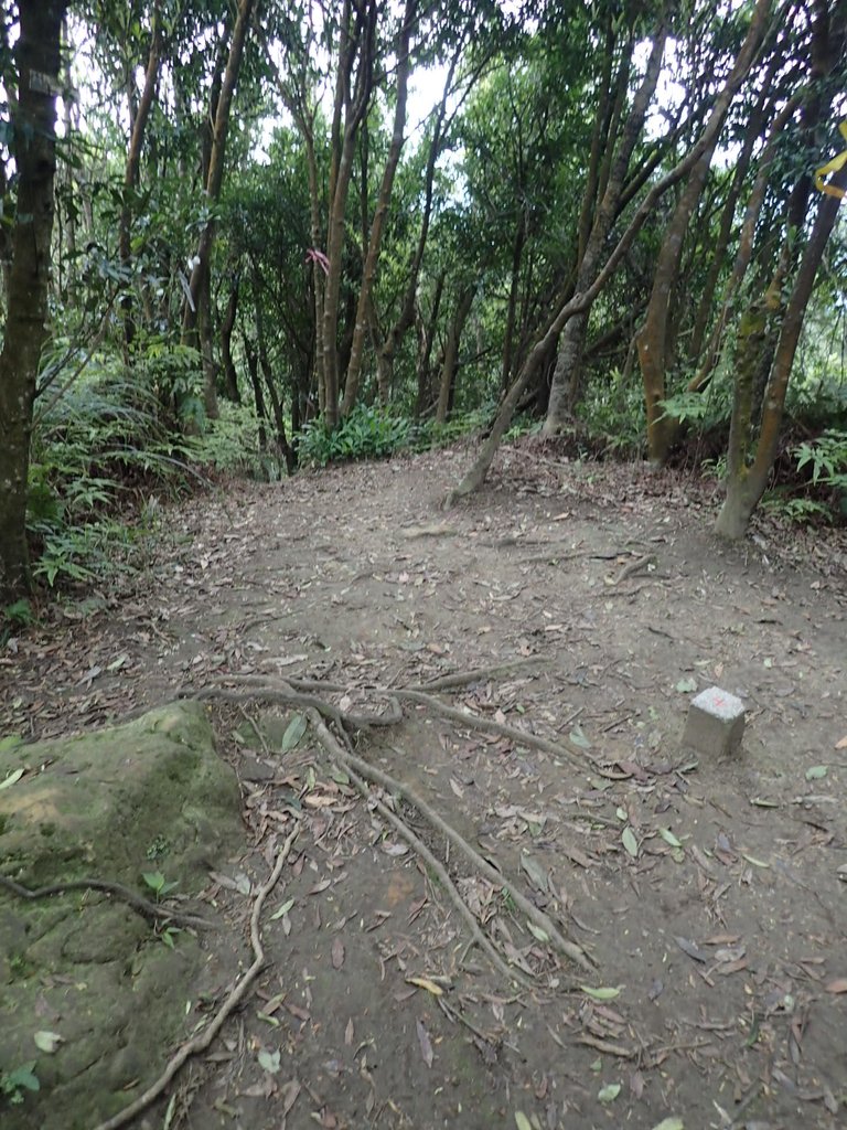 P3160092.JPG - 汐止  柯子林山  如意湖