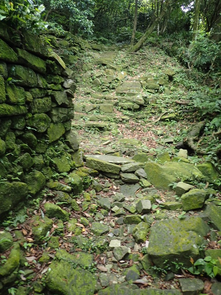 P7062150.JPG - 九份  小粗坑越嶺古道