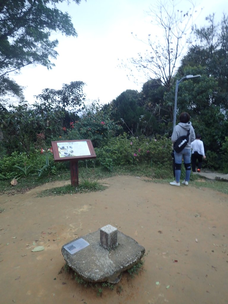 P3116935.JPG - 內湖  白鷺鷥山親山步道