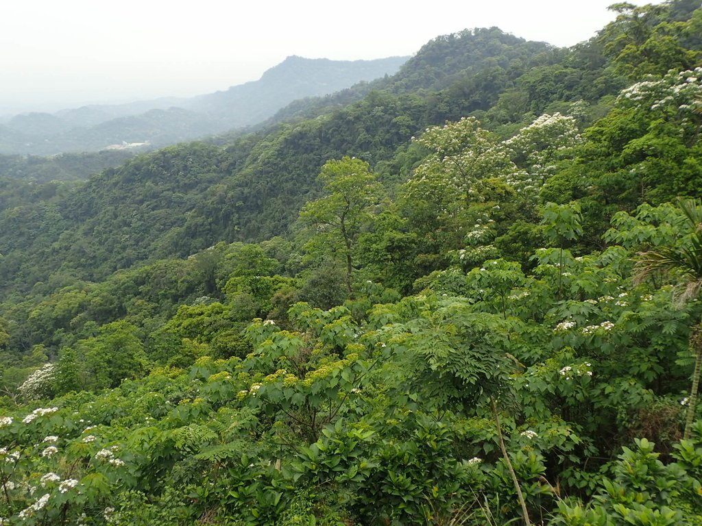 P4191871.JPG - 南庄  細湖頂  晴園山莊