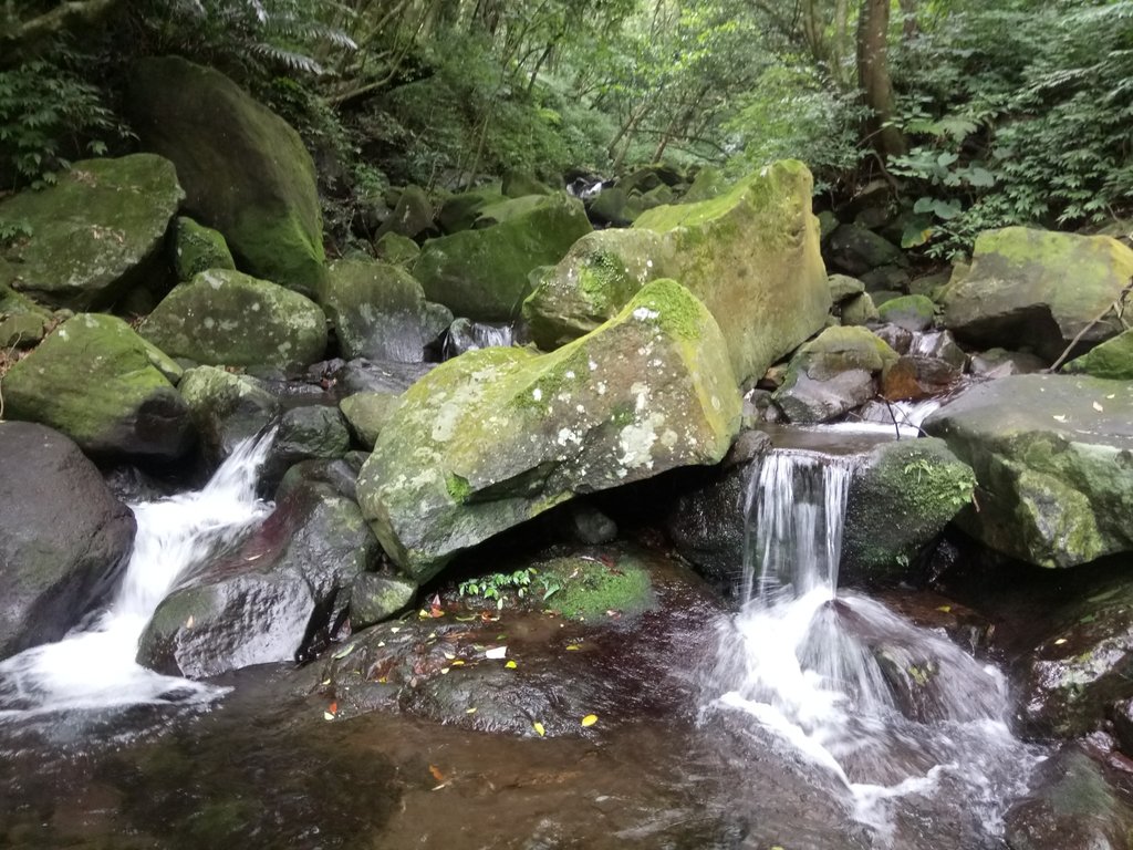 DSC_0703.JPG - 三芝  大屯溪古道