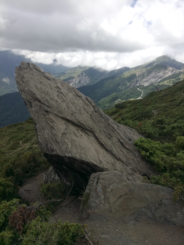 DSC_5431.JPG - 合歡山  北峰之美  (下)