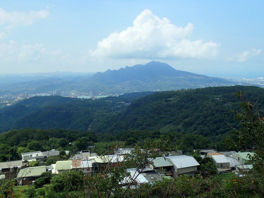 P9238267.JPG - 北投  面天山  向天湖步道