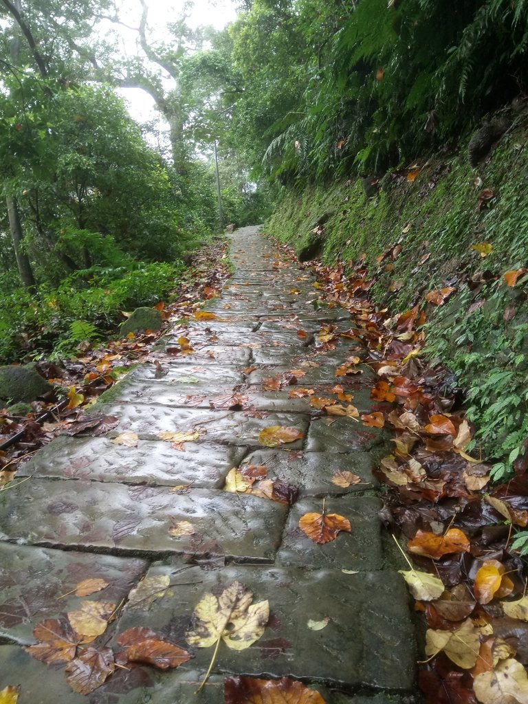 DSC_1715.JPG - 土城  天上山  登山步道