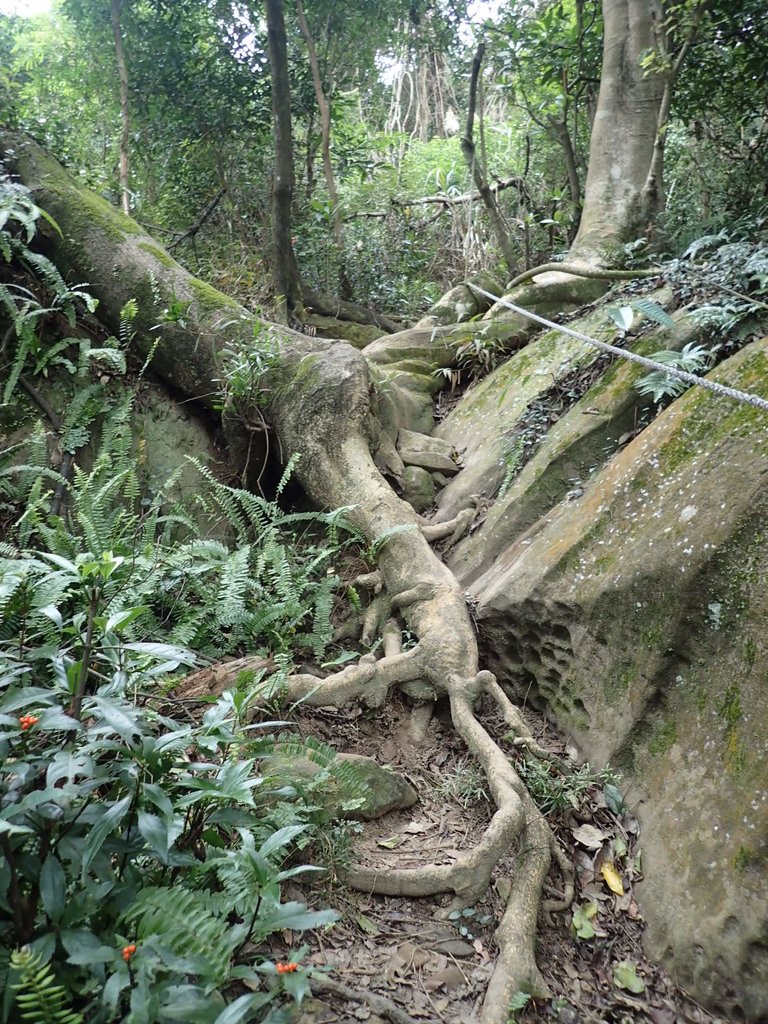 P1122690.JPG - 大直圓山風景區  劍潭山