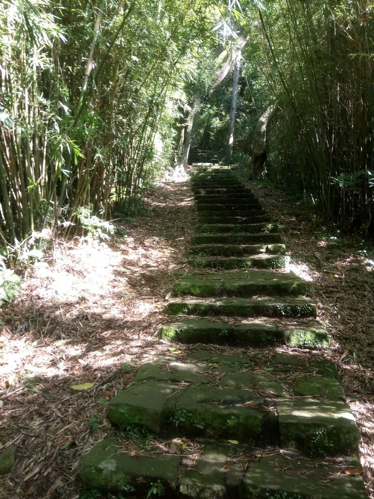 DSC_8757.JPG - 北投  中正山登山步道 01