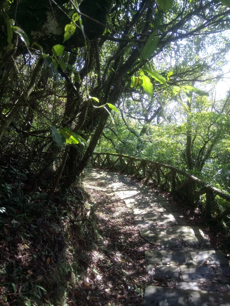 DSC_8780.JPG - 北投  中正山登山步道  02