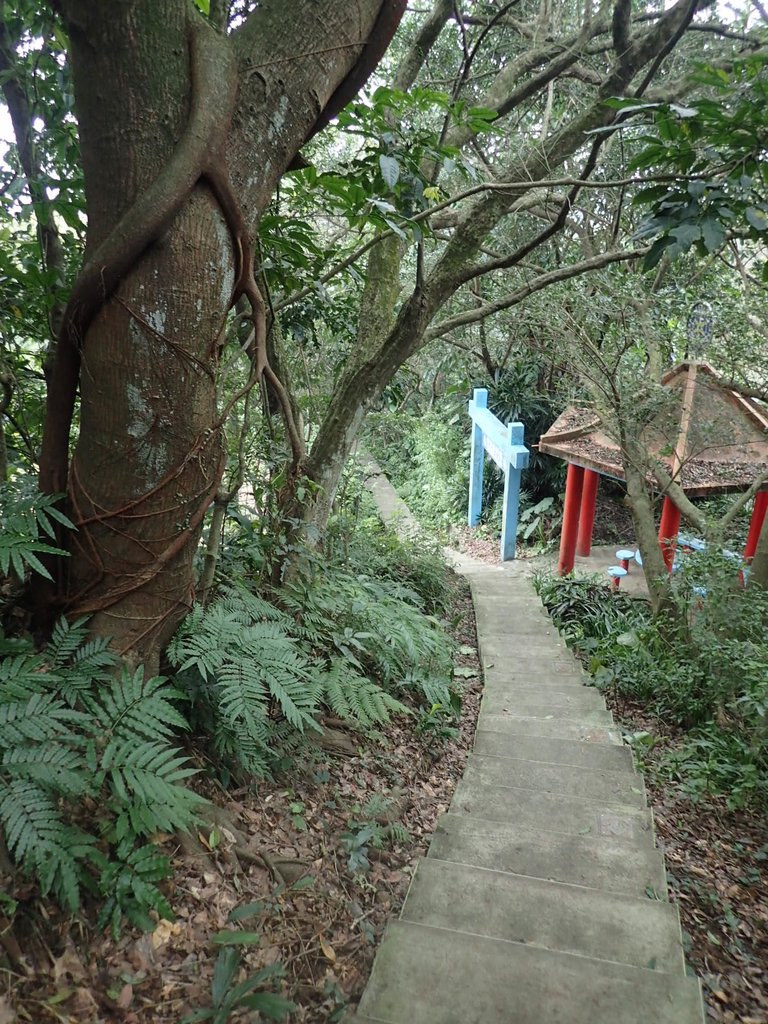 P1233855.JPG - 再訪---  基隆  紅淡山