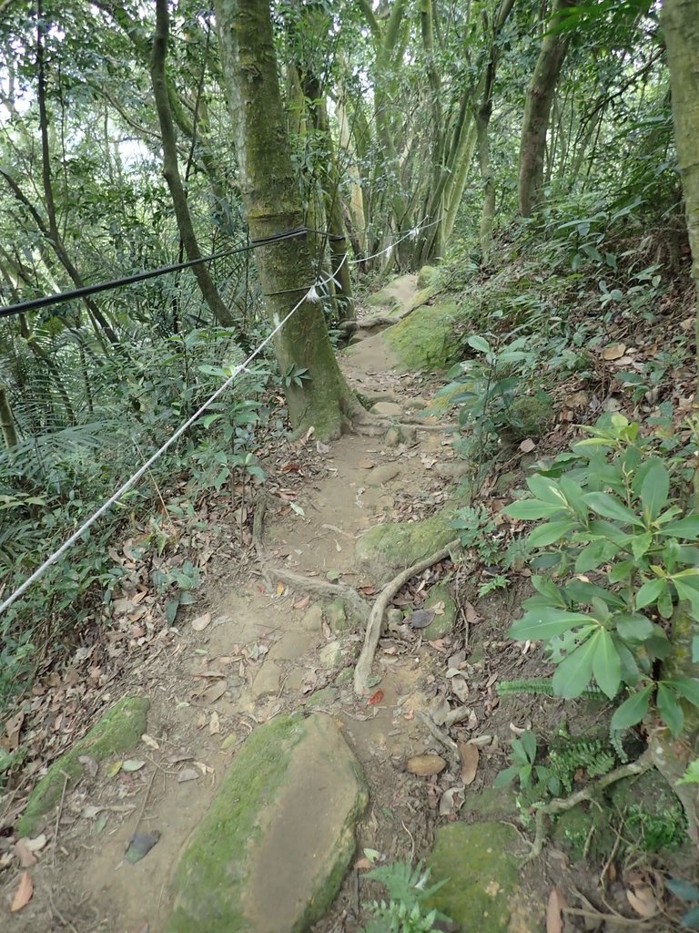 P2168021.JPG - 三峽  鳶山  (福德坑山)