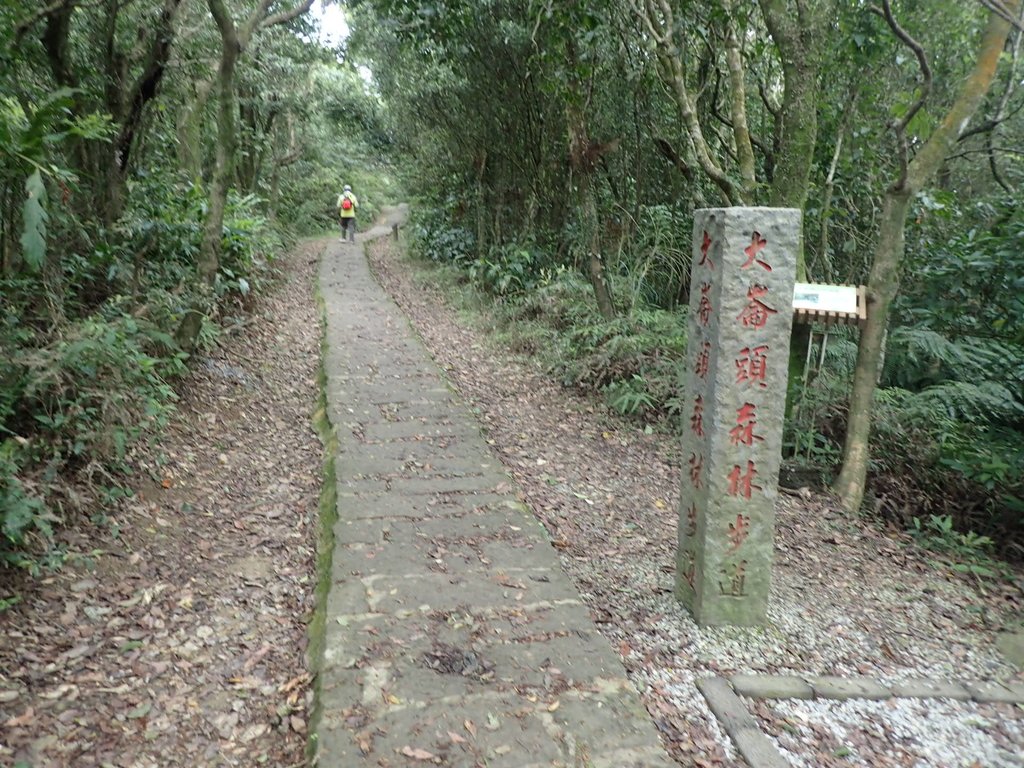 P2288683.JPG - 內湖  大崙頭山