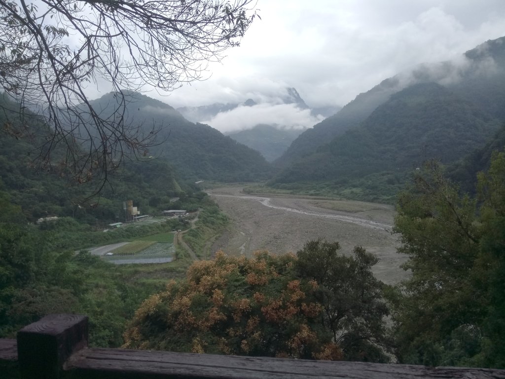DSC_1201.JPG - 草嶺  茄苳步道  峭壁雄風
