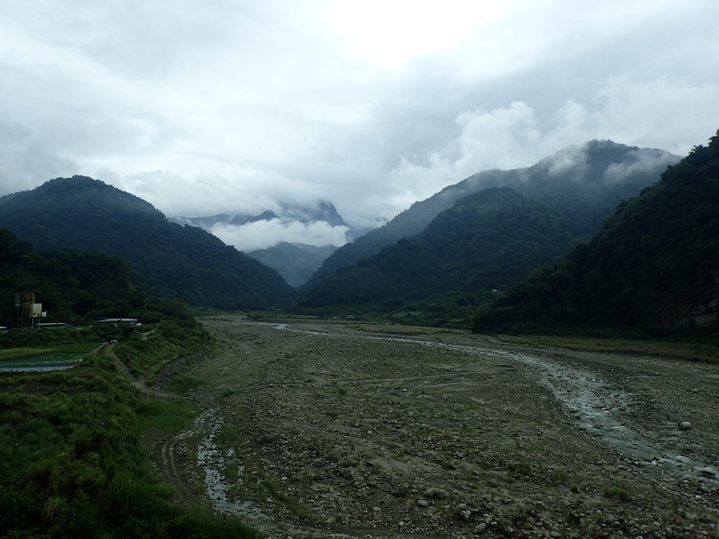 PA231649.JPG - 草嶺  茄苳步道  峭壁雄風
