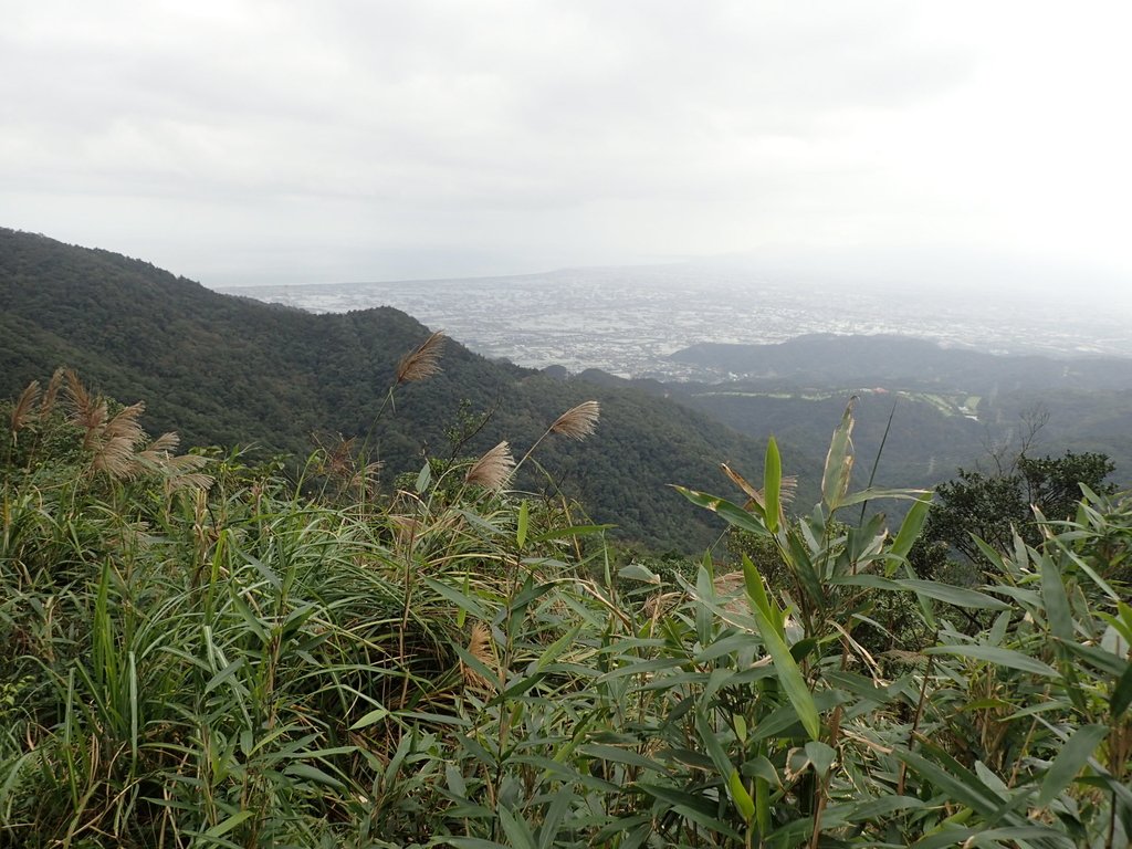 PB159015.JPG - 礁溪  聖母登山步道  (抹茶山)