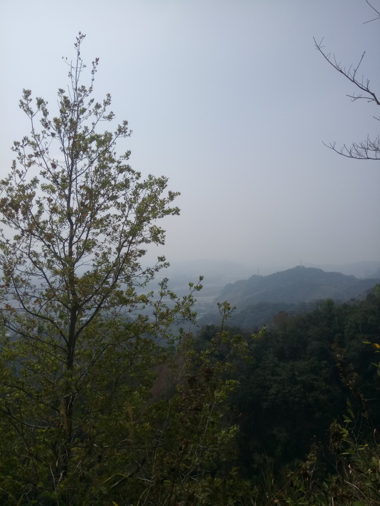 DSC_7348.JPG - 草屯平林  九九峰森林步道