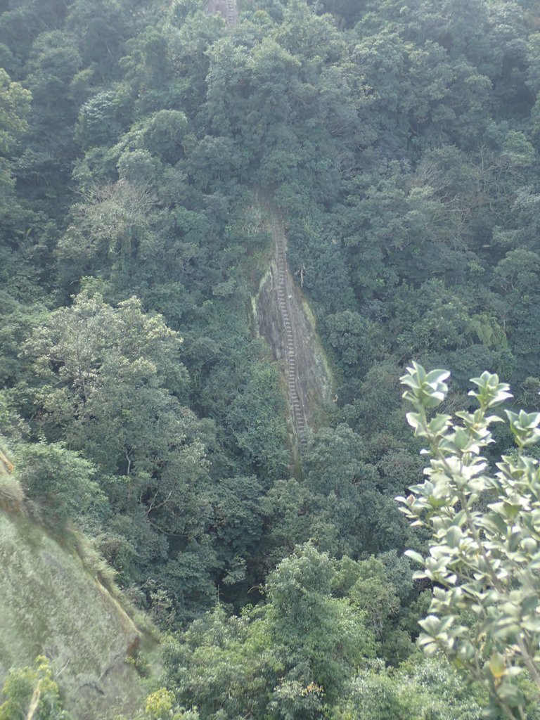 P1224290.JPG - 再訪---  平溪  孝子山登山步道