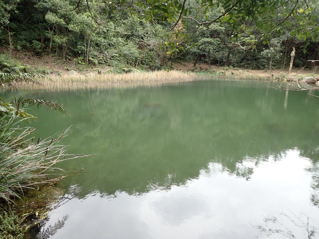 P3160109.JPG - 汐止  柯子林山  如意湖