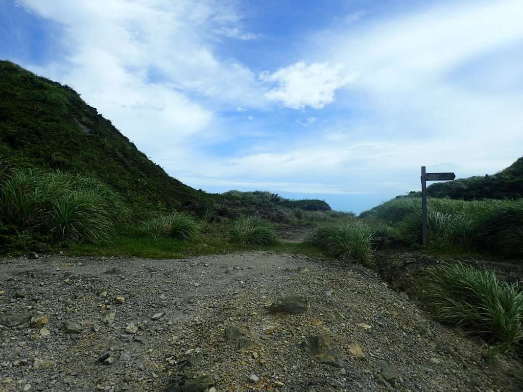 P6090279.JPG - 瑞芳  小金瓜山露頭