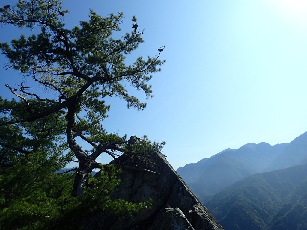 P3167229.JPG - 谷關  東卯山東南稜