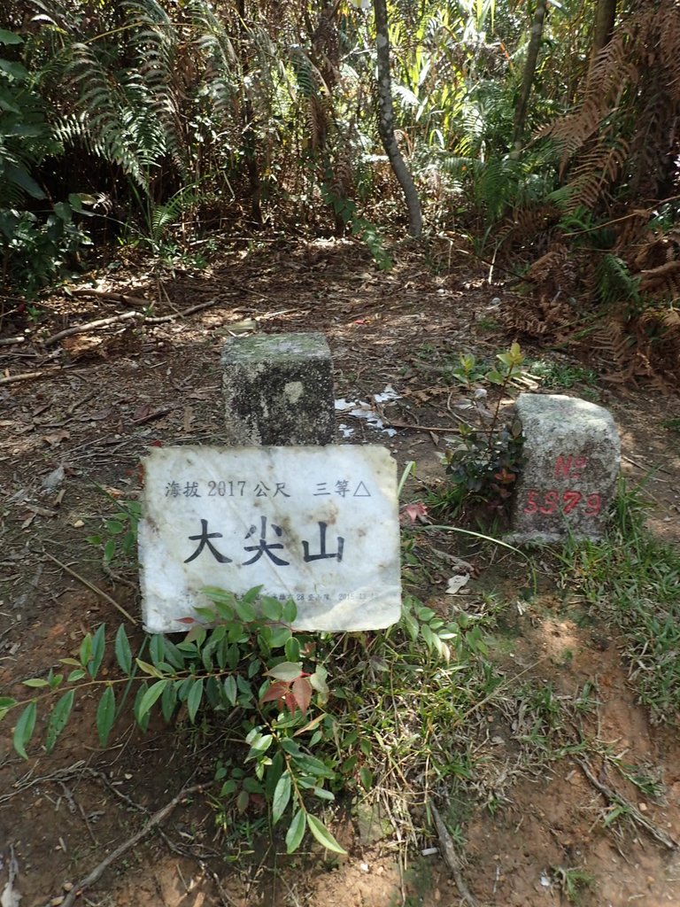 PA040477.JPG - 魚池  大尖山登山步道