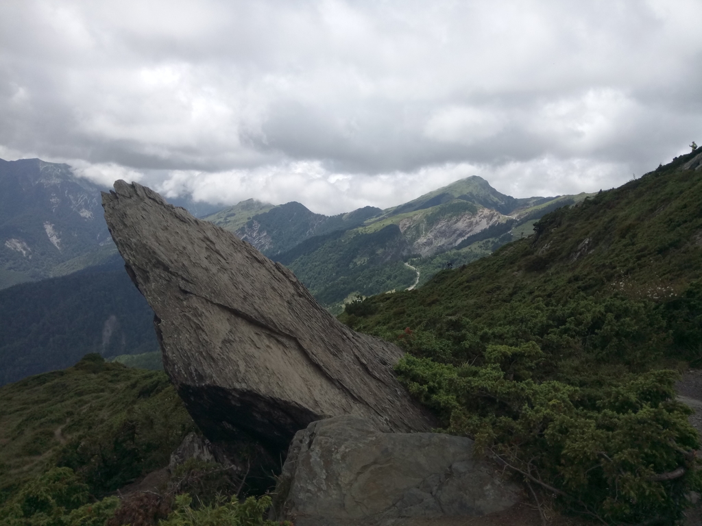 DSC_5433.JPG - 合歡山  北峰之美  (下)