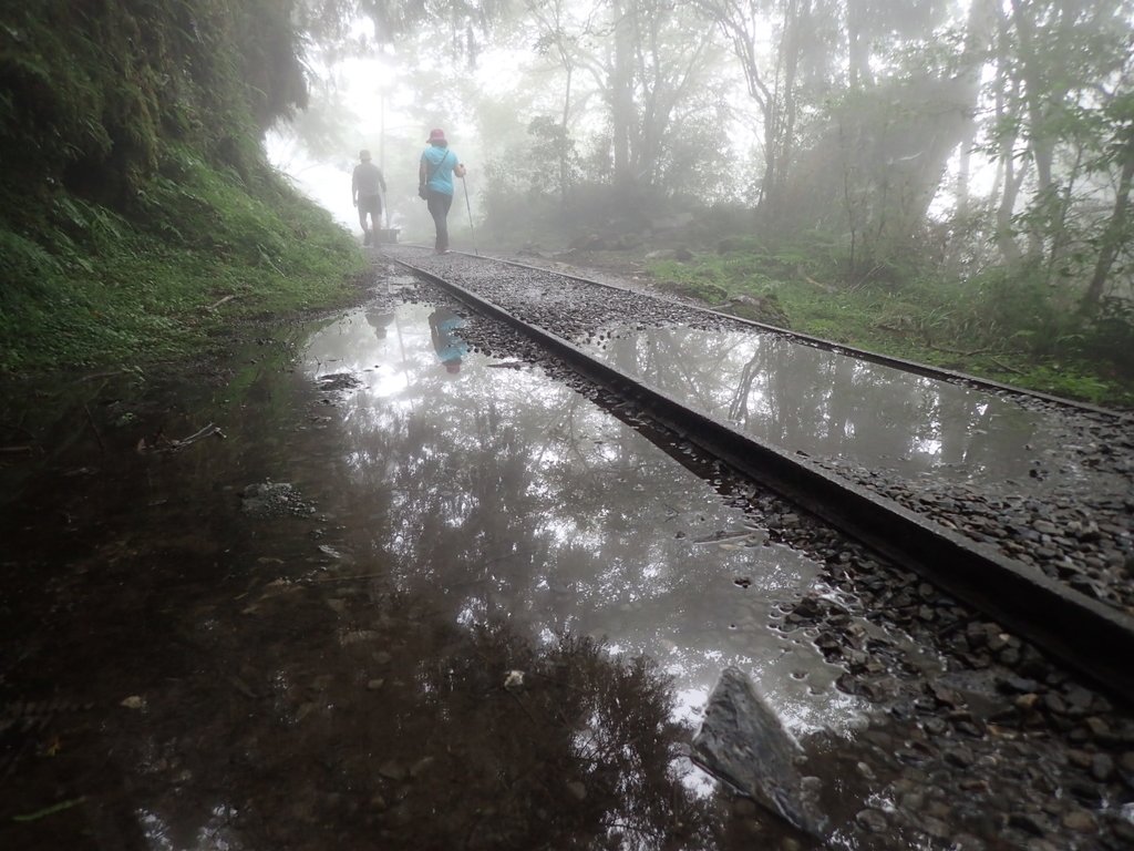 P8226794.JPG - 太平山 見晴懷古步道