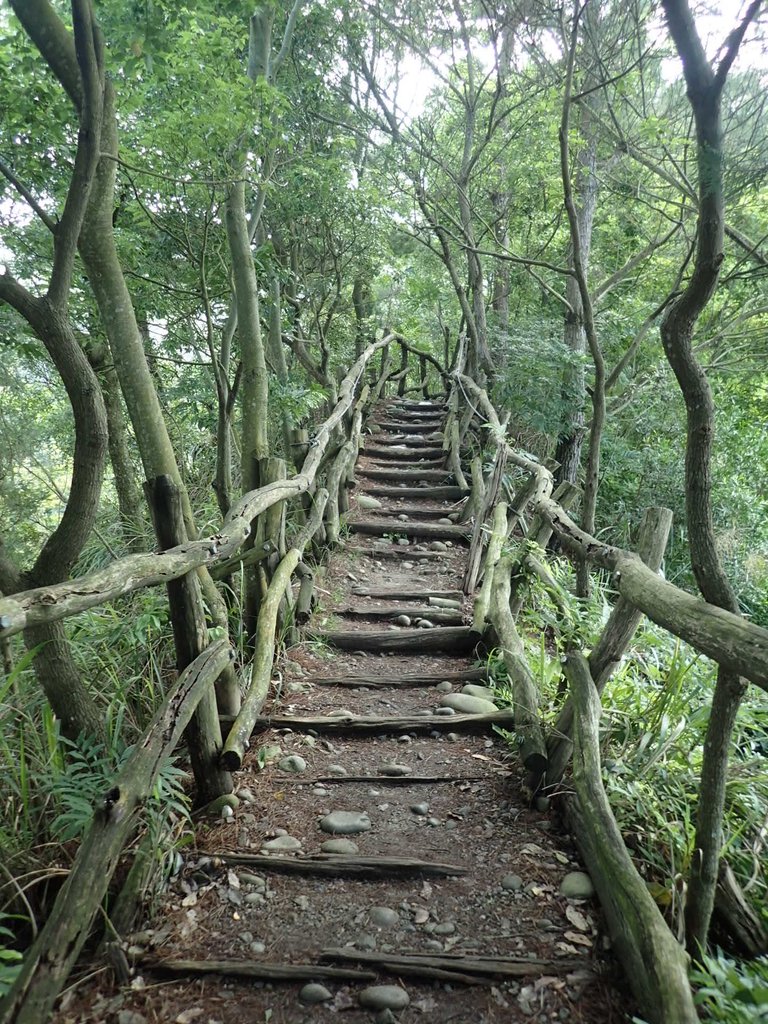 P5117144.JPG - 大坑四號步道  頭嵙山