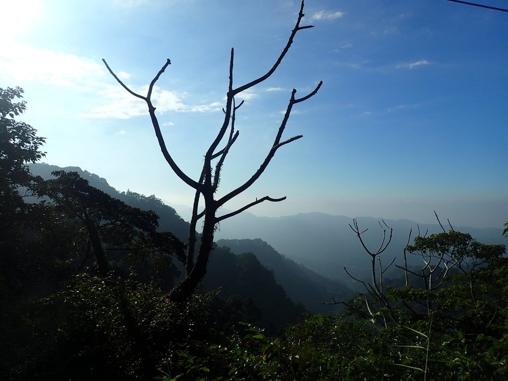 PC010642.JPG - 獅潭  仙山