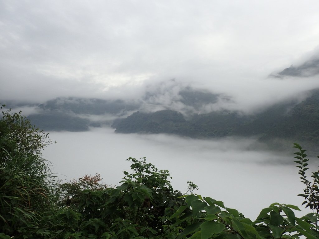 PA231542.JPG - 古坑  草嶺  雲山繚繞