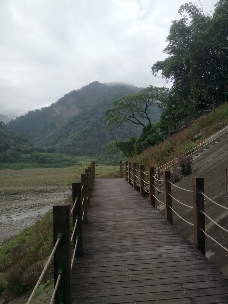 DSC_1208.JPG - 草嶺  茄苳步道  峭壁雄風
