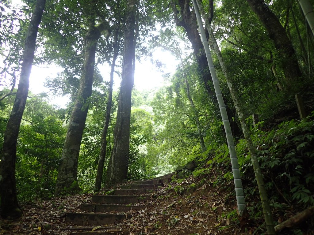 PA231697.JPG - 石壁山  嘉南雲峰步道