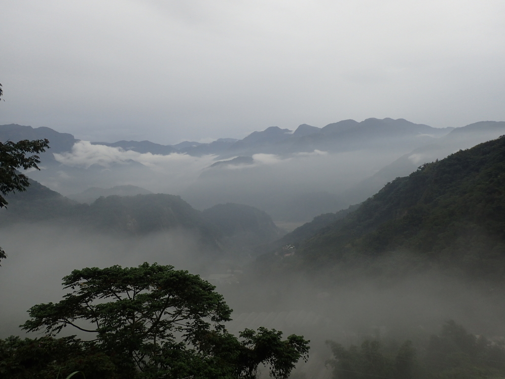 PA231907.JPG - 石壁途中之   茶山雲雨