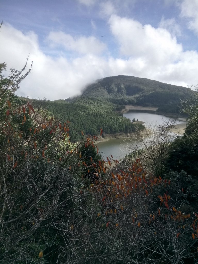 DSC_0104.JPG - 太平山  翠峰湖環山步道  01