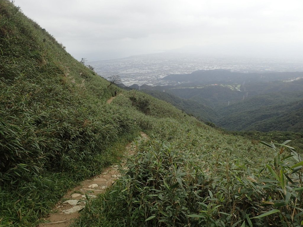 PB159017.JPG - 礁溪  聖母登山步道  (抹茶山)