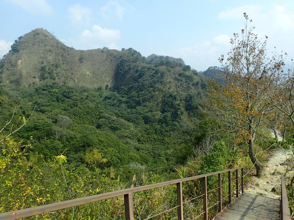 P3016074.JPG - 草屯平林  九九峰森林步道