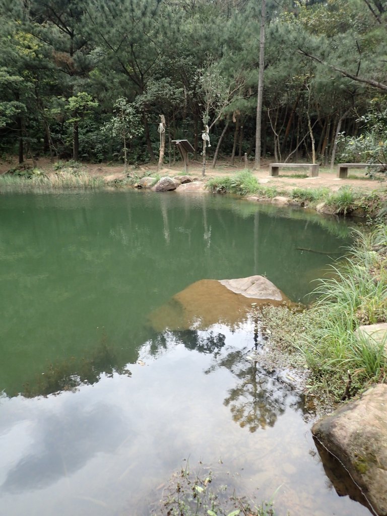 P3160113.JPG - 汐止  柯子林山  如意湖