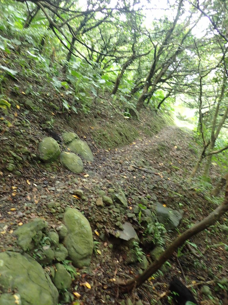 P8317591.JPG - 瑞芳  雞籠山登山步道