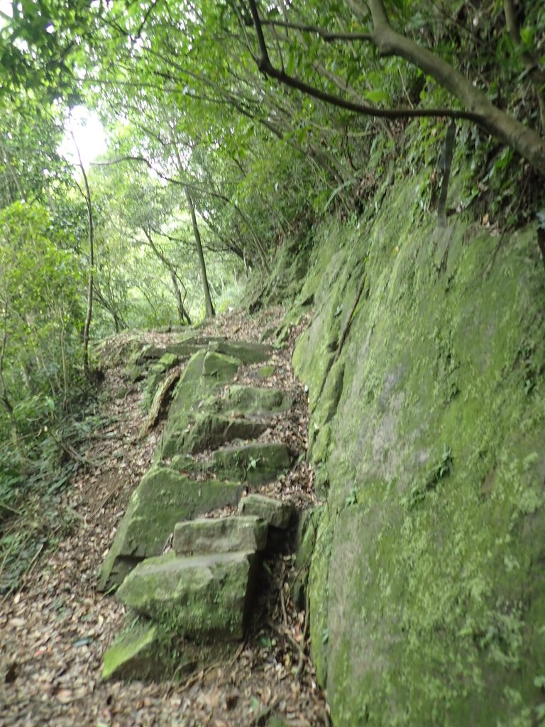 P7062106.JPG - 九份  小粗坑越嶺古道