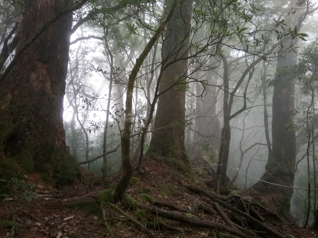 DSC_2672.JPG - 台中  和平  稍來山南峰