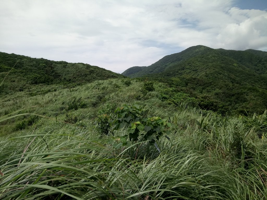 DSC_5523.JPG - 貢寮  蚊子坑古道  龍洞稜