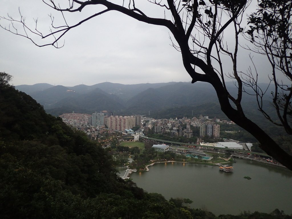 P3116949.JPG - 內湖  白鷺鷥山親山步道