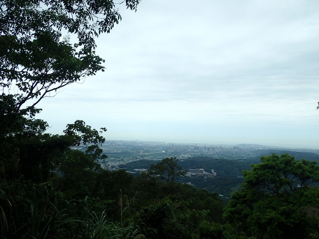 P4272125.JPG - 芎林  飛鳳山  (中坑山)