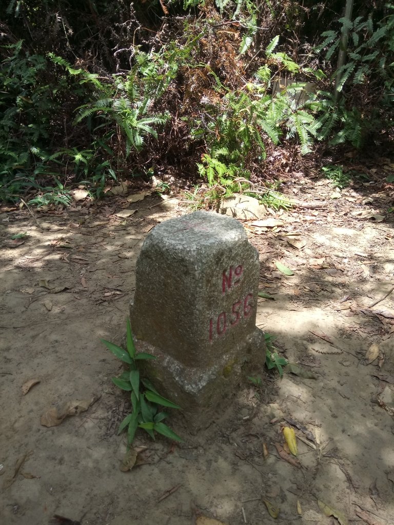 DSC_2986.JPG - 大溪  金面山登山步道