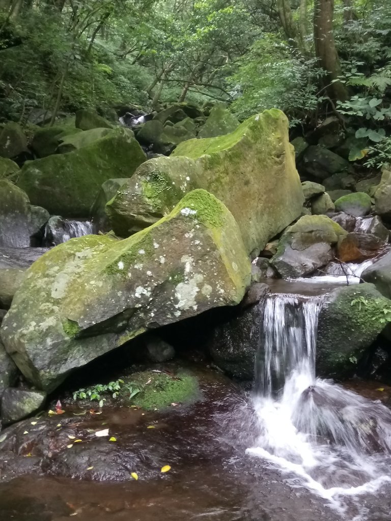 DSC_0705.JPG - 三芝  大屯溪古道