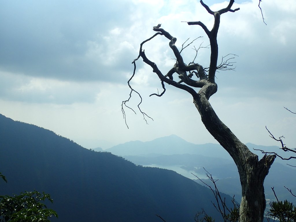 PA040492.JPG - 魚池  大尖山登山步道